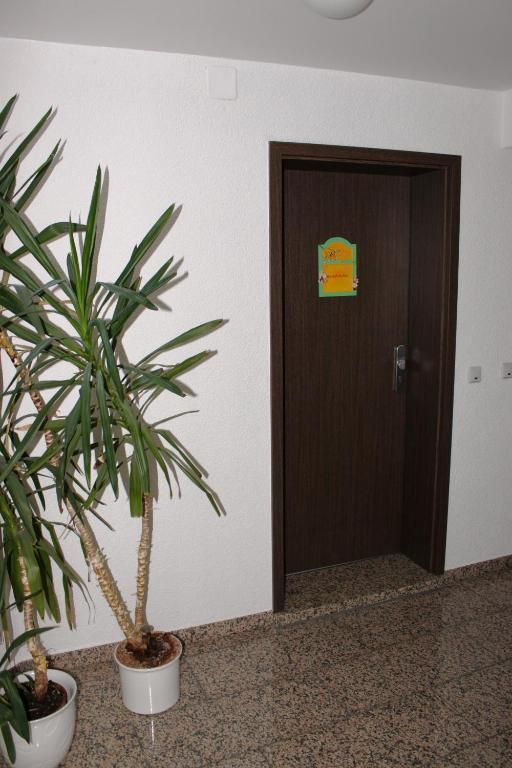 Apartament Puppenstuebchen Wernigerode Pokój zdjęcie